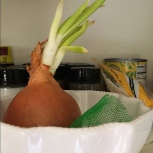 Meet your Posher, Marissa